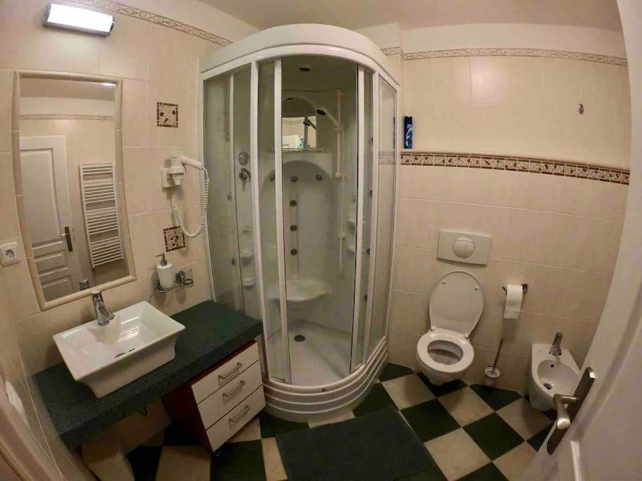 Huge Two Floor Apartment On The Park Colonnade With Free Parking For One Car, 160 Sqm Karlovy Vary Exterior foto
